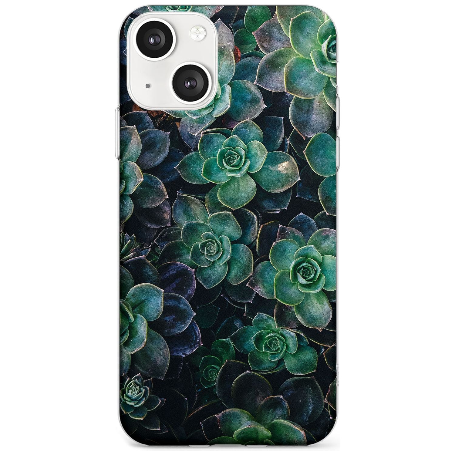 Succulent Bloom Botanical