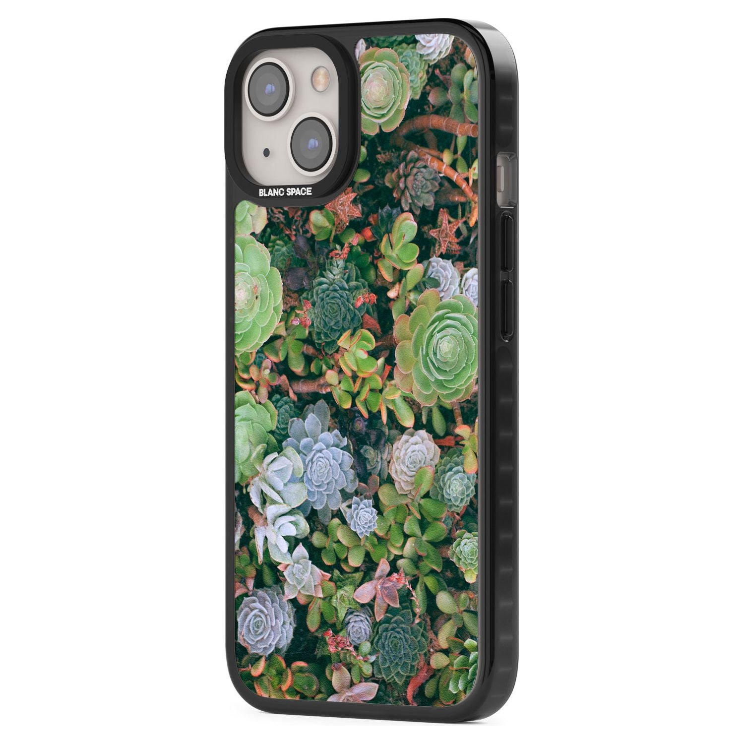Colourful Succulents Phone Case iPhone 15 Pro Max / Black Impact Case,iPhone 15 Plus / Black Impact Case,iPhone 15 Pro / Black Impact Case,iPhone 15 / Black Impact Case,iPhone 15 Pro Max / Impact Case,iPhone 15 Plus / Impact Case,iPhone 15 Pro / Impact Case,iPhone 15 / Impact Case,iPhone 15 Pro Max / Magsafe Black Impact Case,iPhone 15 Plus / Magsafe Black Impact Case,iPhone 15 Pro / Magsafe Black Impact Case,iPhone 15 / Magsafe Black Impact Case,iPhone 14 Pro Max / Black Impact Case,iPhone 14 Plus / Black