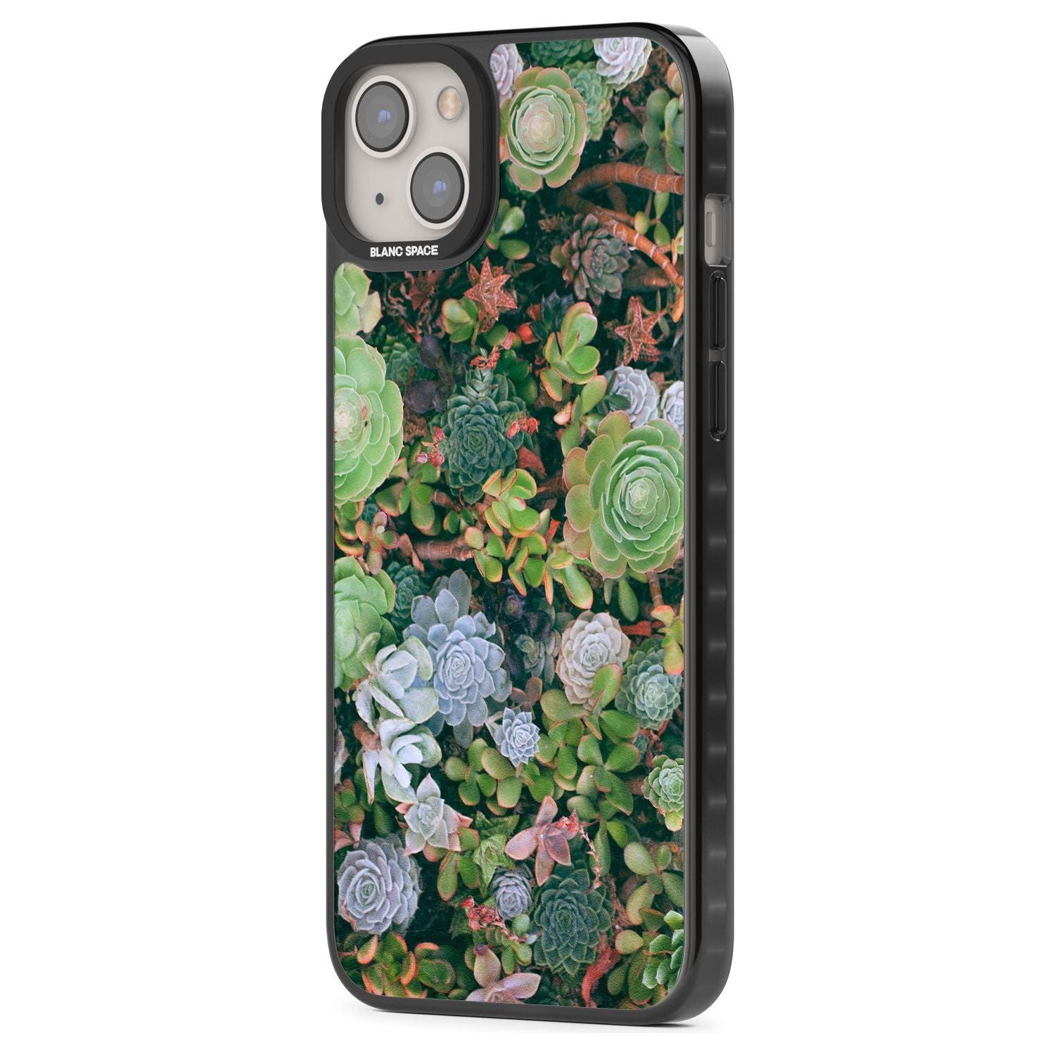 Colourful Succulents Phone Case iPhone 15 Pro Max / Black Impact Case,iPhone 15 Plus / Black Impact Case,iPhone 15 Pro / Black Impact Case,iPhone 15 / Black Impact Case,iPhone 15 Pro Max / Impact Case,iPhone 15 Plus / Impact Case,iPhone 15 Pro / Impact Case,iPhone 15 / Impact Case,iPhone 15 Pro Max / Magsafe Black Impact Case,iPhone 15 Plus / Magsafe Black Impact Case,iPhone 15 Pro / Magsafe Black Impact Case,iPhone 15 / Magsafe Black Impact Case,iPhone 14 Pro Max / Black Impact Case,iPhone 14 Plus / Black