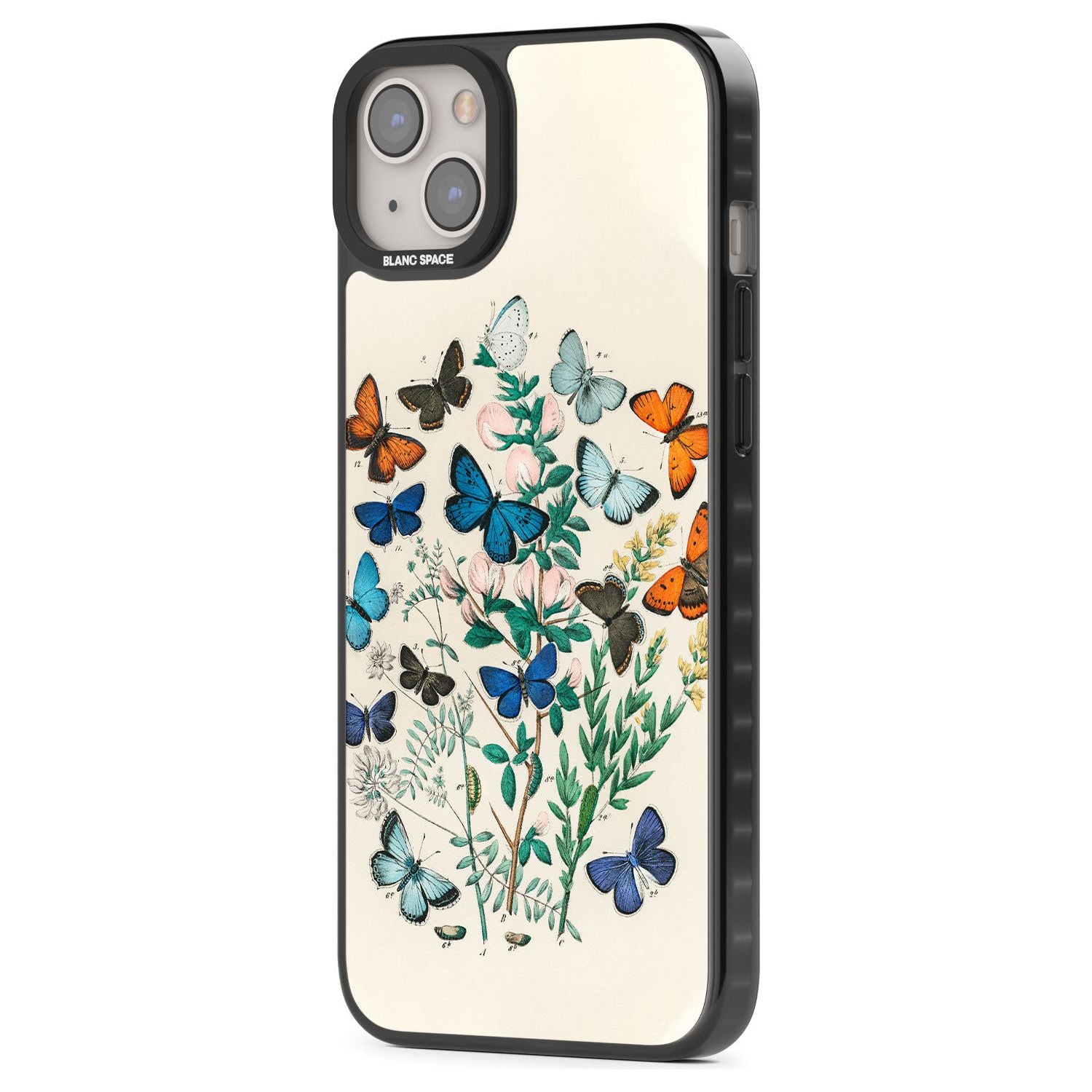 European Butterflies Phone Case iPhone 15 Pro Max / Black Impact Case,iPhone 15 Plus / Black Impact Case,iPhone 15 Pro / Black Impact Case,iPhone 15 / Black Impact Case,iPhone 15 Pro Max / Impact Case,iPhone 15 Plus / Impact Case,iPhone 15 Pro / Impact Case,iPhone 15 / Impact Case,iPhone 15 Pro Max / Magsafe Black Impact Case,iPhone 15 Plus / Magsafe Black Impact Case,iPhone 15 Pro / Magsafe Black Impact Case,iPhone 15 / Magsafe Black Impact Case,iPhone 14 Pro Max / Black Impact Case,iPhone 14 Plus / Black