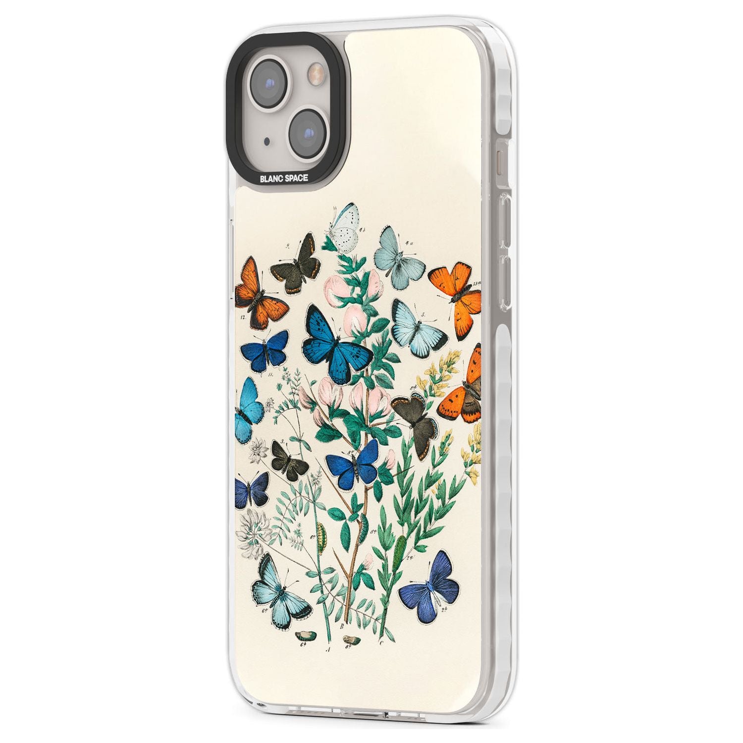 European Butterflies Phone Case iPhone 15 Pro Max / Black Impact Case,iPhone 15 Plus / Black Impact Case,iPhone 15 Pro / Black Impact Case,iPhone 15 / Black Impact Case,iPhone 15 Pro Max / Impact Case,iPhone 15 Plus / Impact Case,iPhone 15 Pro / Impact Case,iPhone 15 / Impact Case,iPhone 15 Pro Max / Magsafe Black Impact Case,iPhone 15 Plus / Magsafe Black Impact Case,iPhone 15 Pro / Magsafe Black Impact Case,iPhone 15 / Magsafe Black Impact Case,iPhone 14 Pro Max / Black Impact Case,iPhone 14 Plus / Black