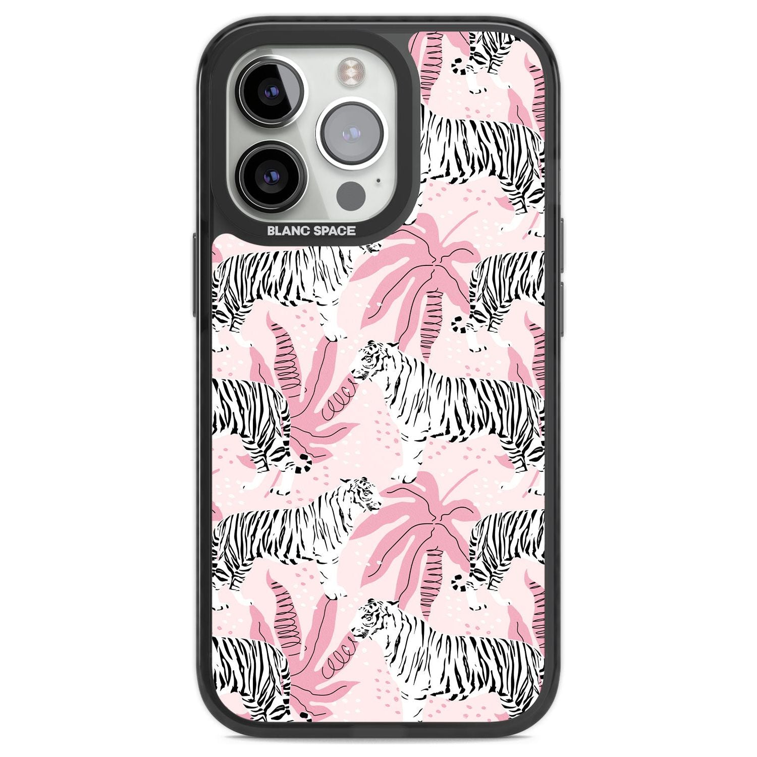 Pink Tiger Palm