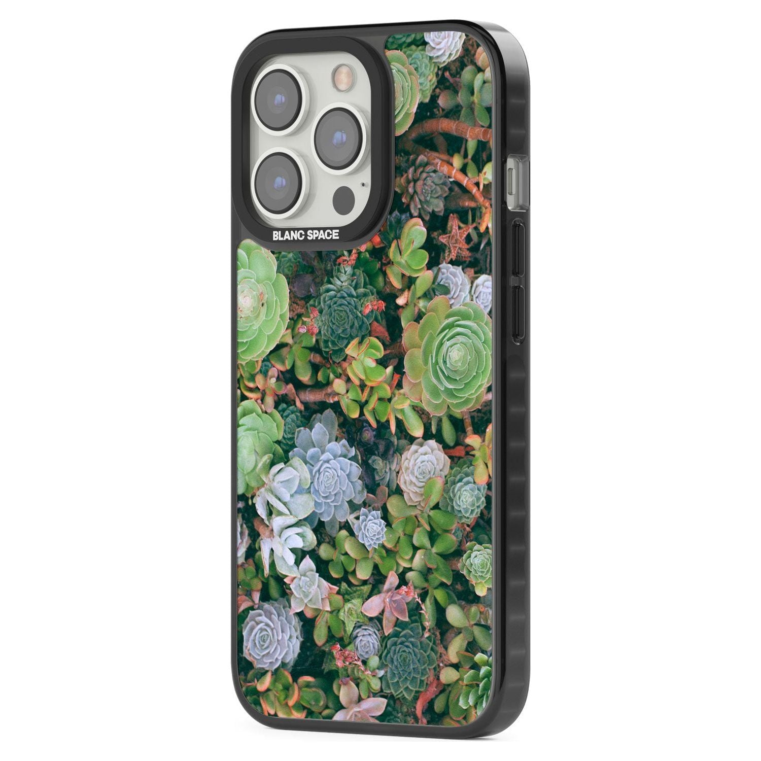 Colourful Succulents Phone Case iPhone 15 Pro Max / Black Impact Case,iPhone 15 Plus / Black Impact Case,iPhone 15 Pro / Black Impact Case,iPhone 15 / Black Impact Case,iPhone 15 Pro Max / Impact Case,iPhone 15 Plus / Impact Case,iPhone 15 Pro / Impact Case,iPhone 15 / Impact Case,iPhone 15 Pro Max / Magsafe Black Impact Case,iPhone 15 Plus / Magsafe Black Impact Case,iPhone 15 Pro / Magsafe Black Impact Case,iPhone 15 / Magsafe Black Impact Case,iPhone 14 Pro Max / Black Impact Case,iPhone 14 Plus / Black