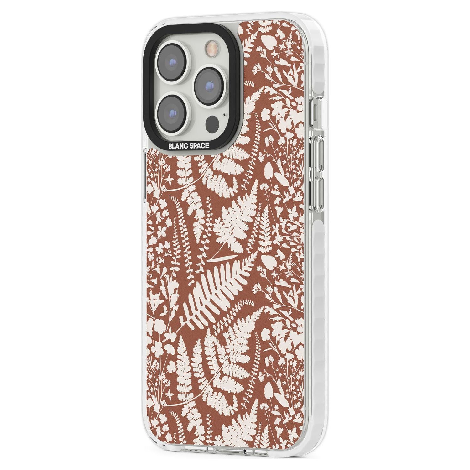 Wildflowers And Ferns On Terracotta