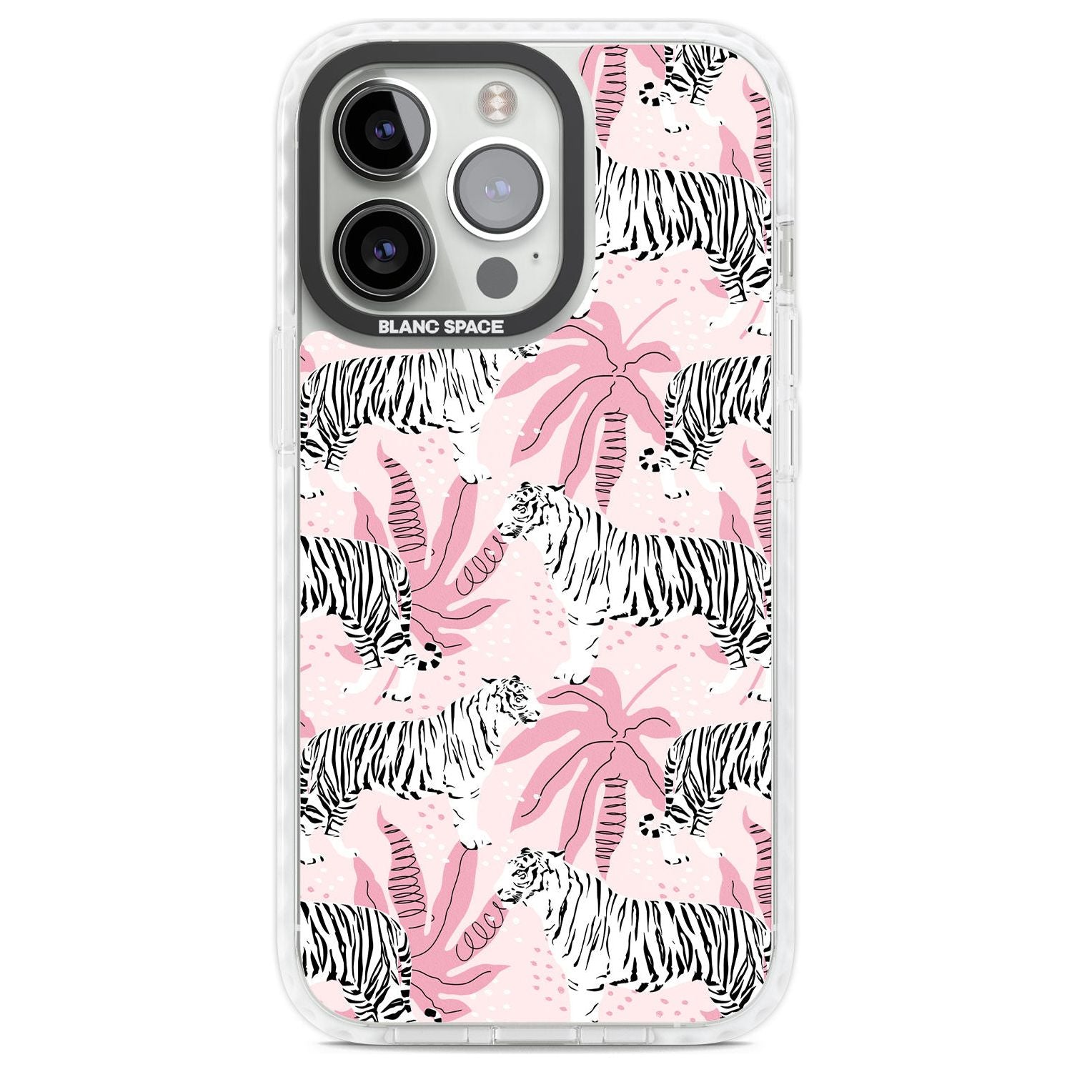 Pink Tiger Palm