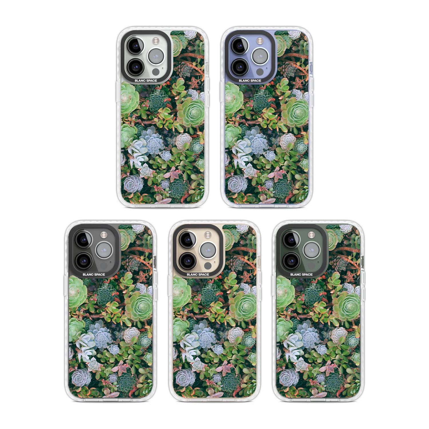 Colourful Succulents Phone Case iPhone 15 Pro Max / Black Impact Case,iPhone 15 Plus / Black Impact Case,iPhone 15 Pro / Black Impact Case,iPhone 15 / Black Impact Case,iPhone 15 Pro Max / Impact Case,iPhone 15 Plus / Impact Case,iPhone 15 Pro / Impact Case,iPhone 15 / Impact Case,iPhone 15 Pro Max / Magsafe Black Impact Case,iPhone 15 Plus / Magsafe Black Impact Case,iPhone 15 Pro / Magsafe Black Impact Case,iPhone 15 / Magsafe Black Impact Case,iPhone 14 Pro Max / Black Impact Case,iPhone 14 Plus / Black