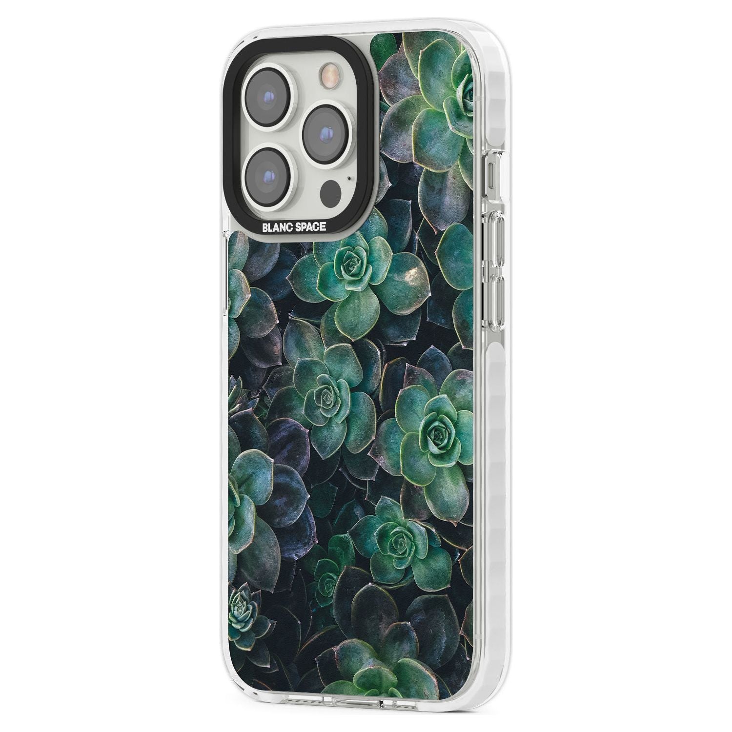 Succulent Bloom Botanical