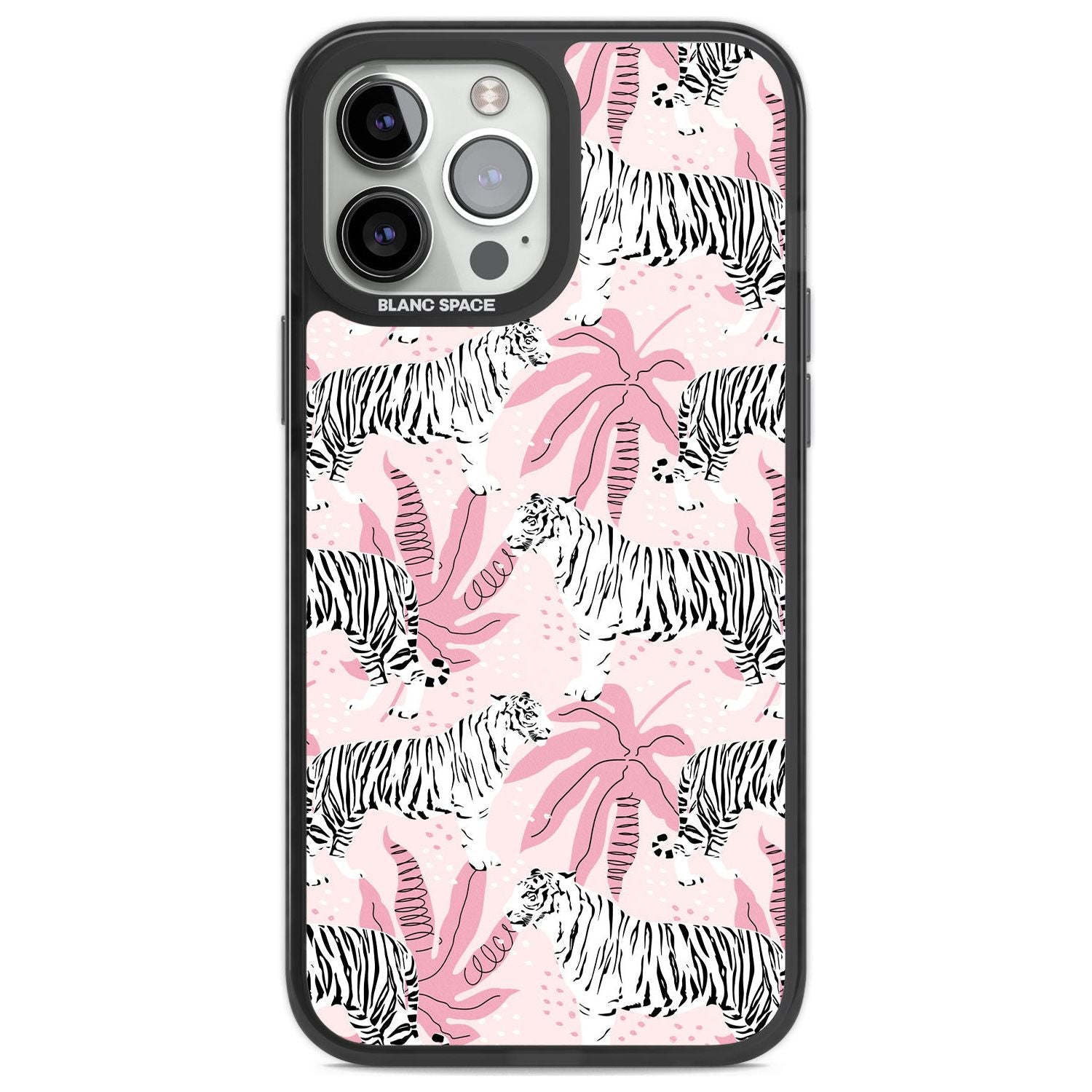 Pink Tiger Palm
