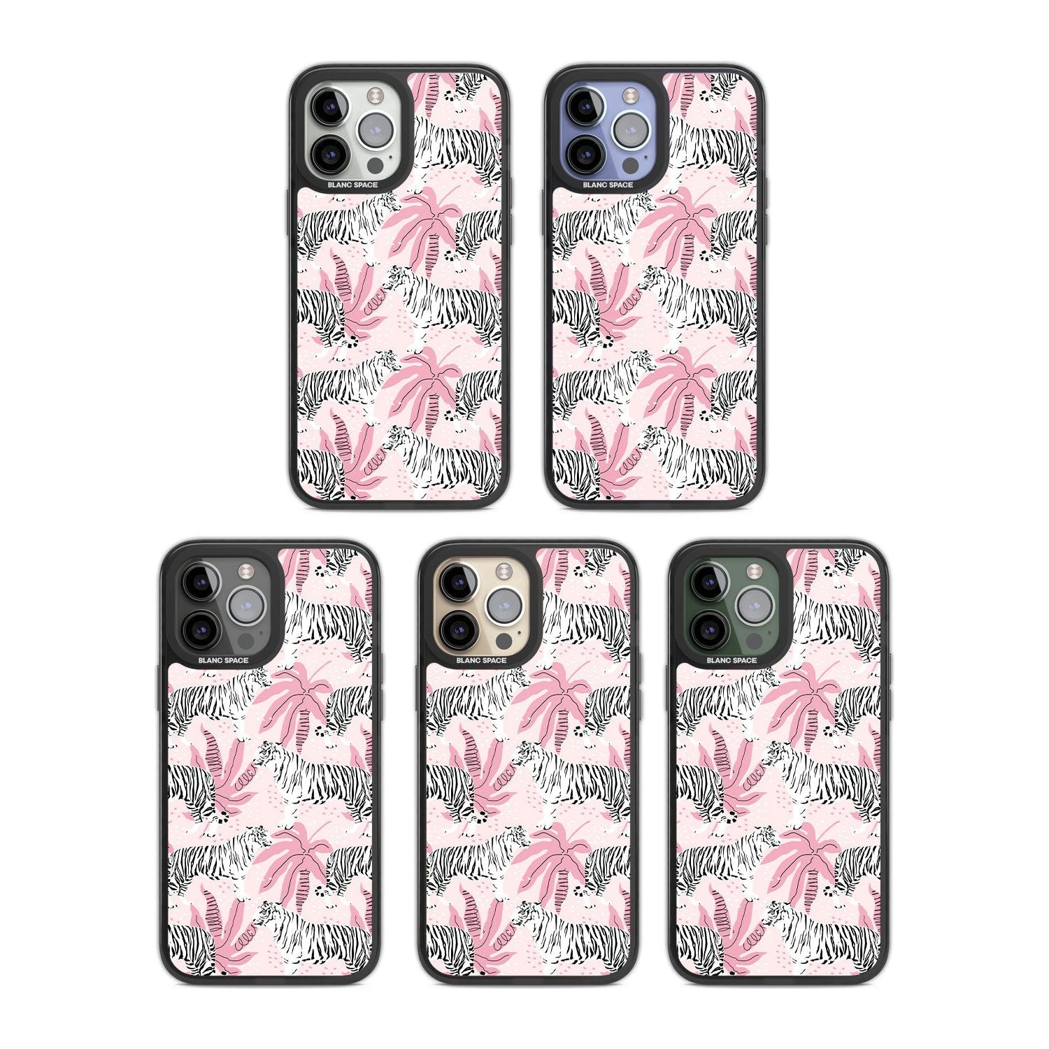 Pink Tiger Palm