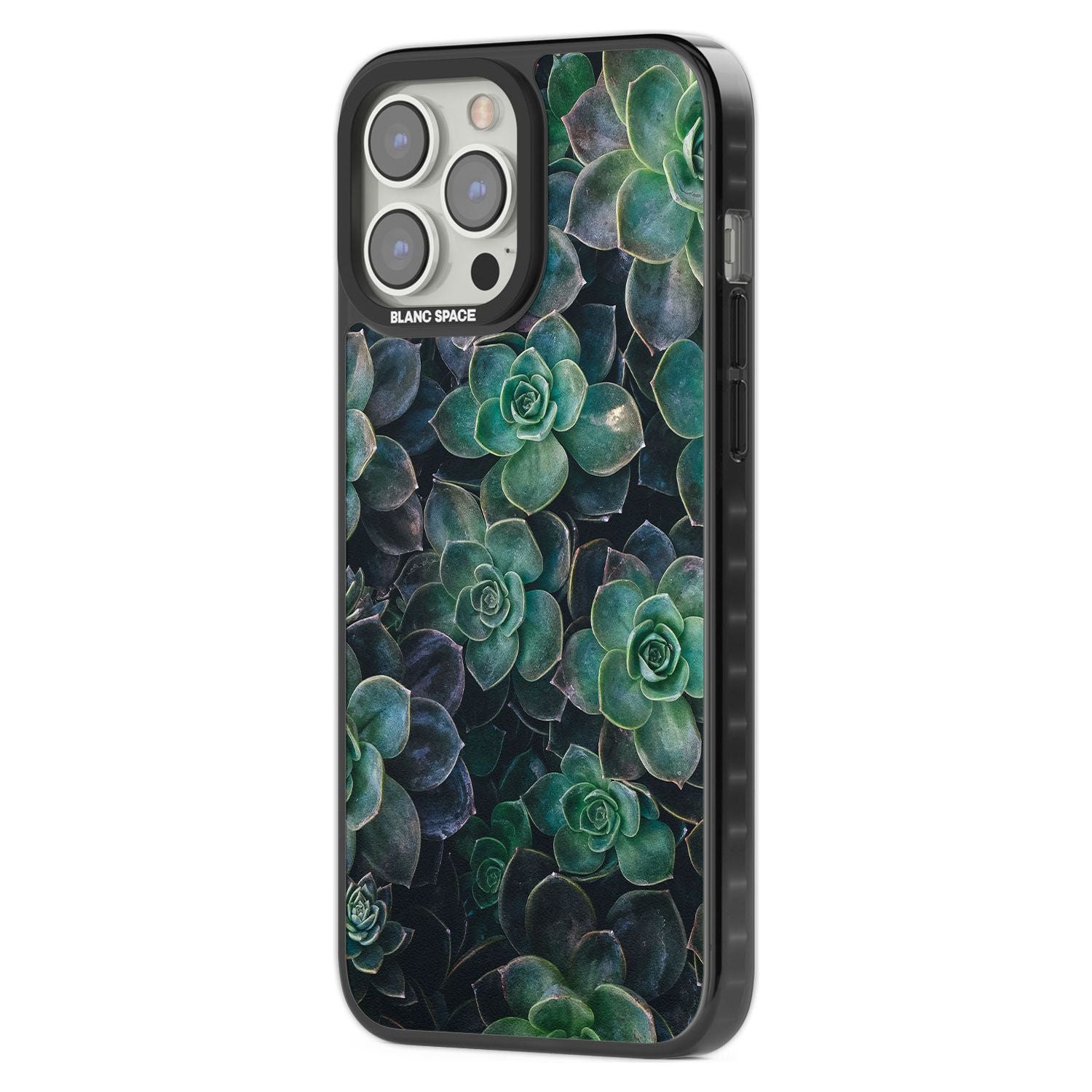 Succulent Bloom Botanical