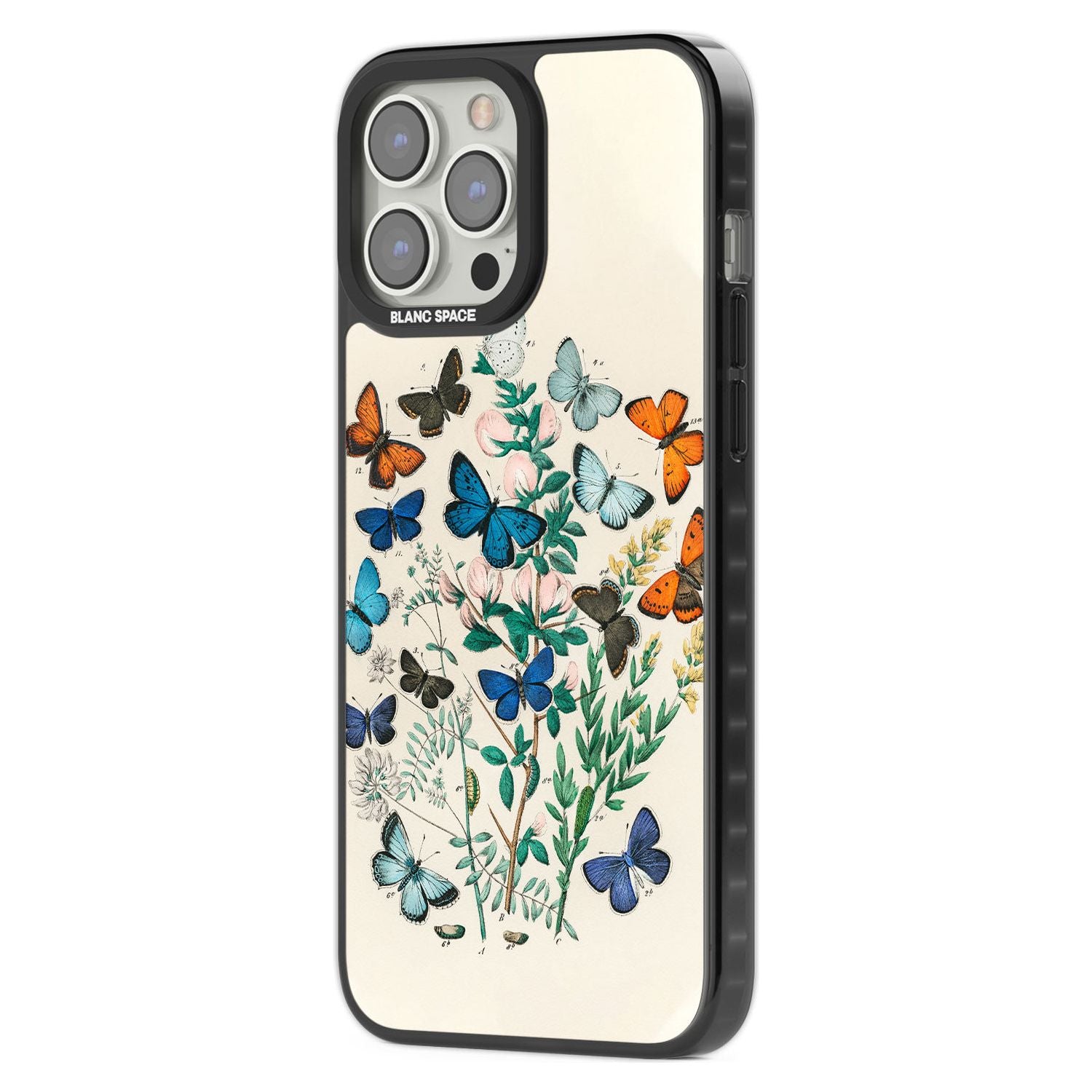 European Butterflies Phone Case iPhone 15 Pro Max / Black Impact Case,iPhone 15 Plus / Black Impact Case,iPhone 15 Pro / Black Impact Case,iPhone 15 / Black Impact Case,iPhone 15 Pro Max / Impact Case,iPhone 15 Plus / Impact Case,iPhone 15 Pro / Impact Case,iPhone 15 / Impact Case,iPhone 15 Pro Max / Magsafe Black Impact Case,iPhone 15 Plus / Magsafe Black Impact Case,iPhone 15 Pro / Magsafe Black Impact Case,iPhone 15 / Magsafe Black Impact Case,iPhone 14 Pro Max / Black Impact Case,iPhone 14 Plus / Black