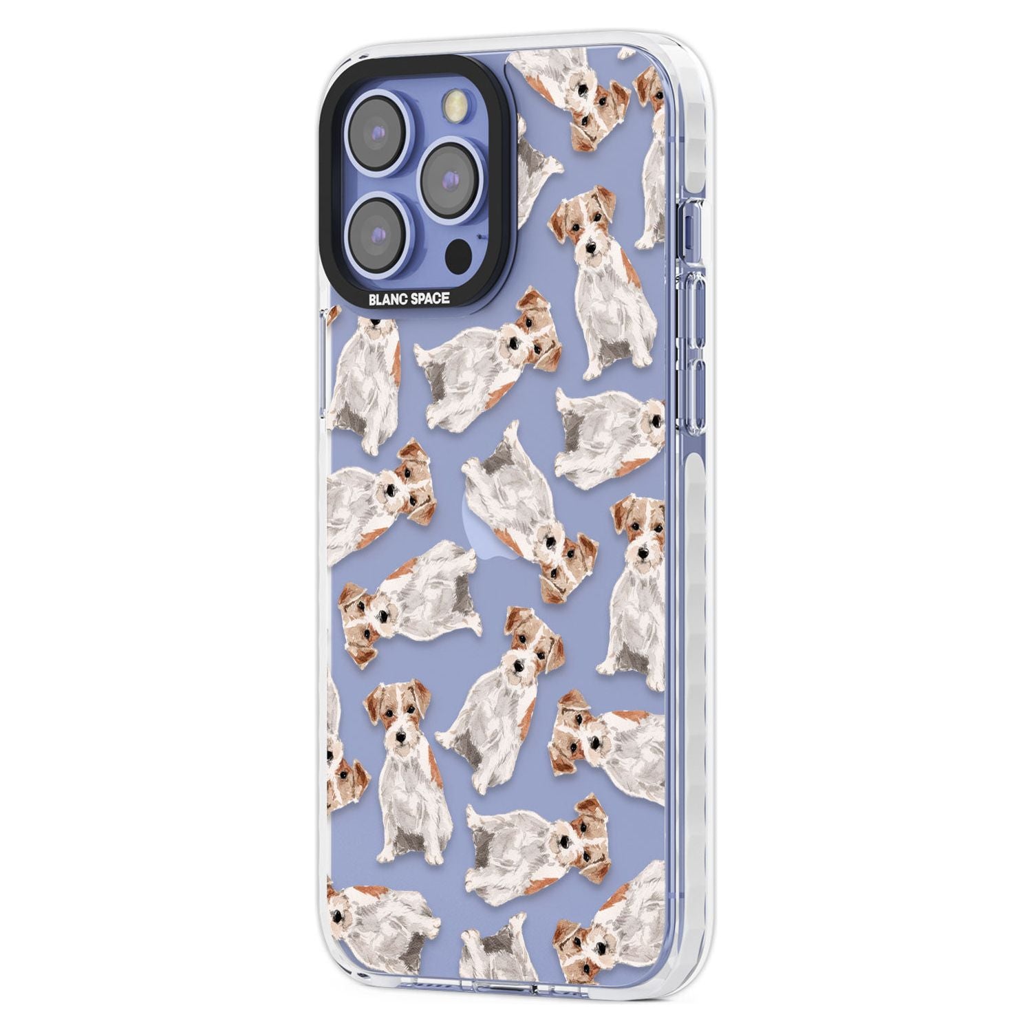 Whimsical Wirehaired Jack Russell