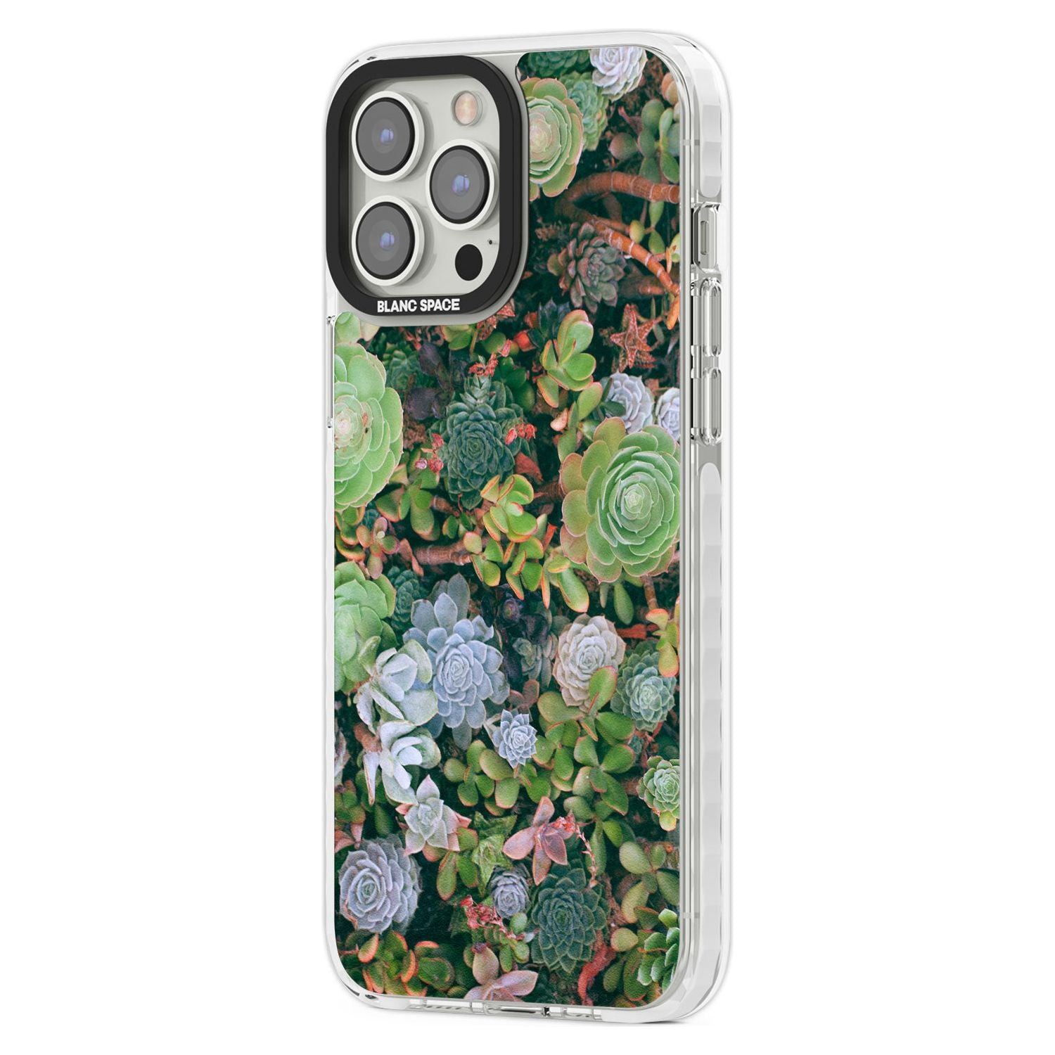 Colourful Succulents Phone Case iPhone 15 Pro Max / Black Impact Case,iPhone 15 Plus / Black Impact Case,iPhone 15 Pro / Black Impact Case,iPhone 15 / Black Impact Case,iPhone 15 Pro Max / Impact Case,iPhone 15 Plus / Impact Case,iPhone 15 Pro / Impact Case,iPhone 15 / Impact Case,iPhone 15 Pro Max / Magsafe Black Impact Case,iPhone 15 Plus / Magsafe Black Impact Case,iPhone 15 Pro / Magsafe Black Impact Case,iPhone 15 / Magsafe Black Impact Case,iPhone 14 Pro Max / Black Impact Case,iPhone 14 Plus / Black