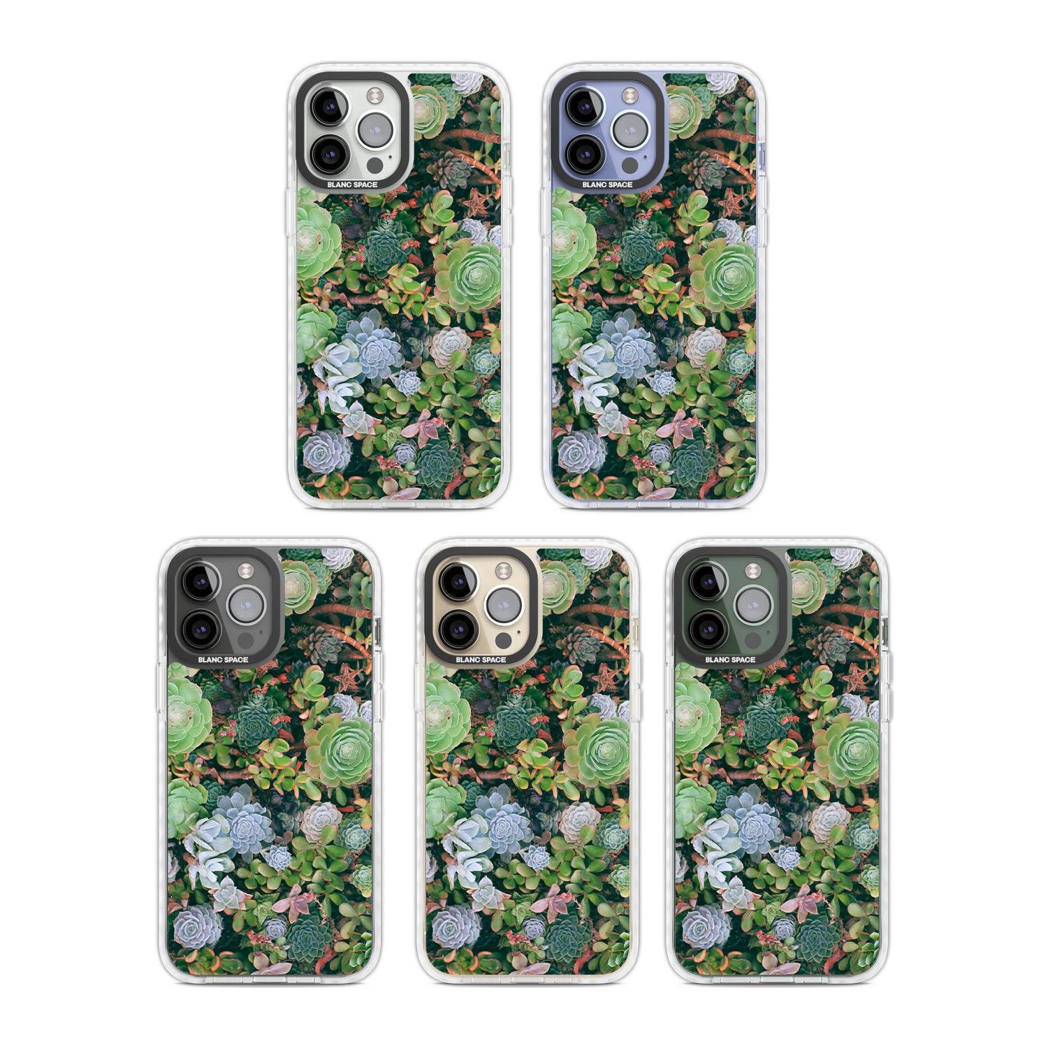 Colourful Succulents Phone Case iPhone 15 Pro Max / Black Impact Case,iPhone 15 Plus / Black Impact Case,iPhone 15 Pro / Black Impact Case,iPhone 15 / Black Impact Case,iPhone 15 Pro Max / Impact Case,iPhone 15 Plus / Impact Case,iPhone 15 Pro / Impact Case,iPhone 15 / Impact Case,iPhone 15 Pro Max / Magsafe Black Impact Case,iPhone 15 Plus / Magsafe Black Impact Case,iPhone 15 Pro / Magsafe Black Impact Case,iPhone 15 / Magsafe Black Impact Case,iPhone 14 Pro Max / Black Impact Case,iPhone 14 Plus / Black