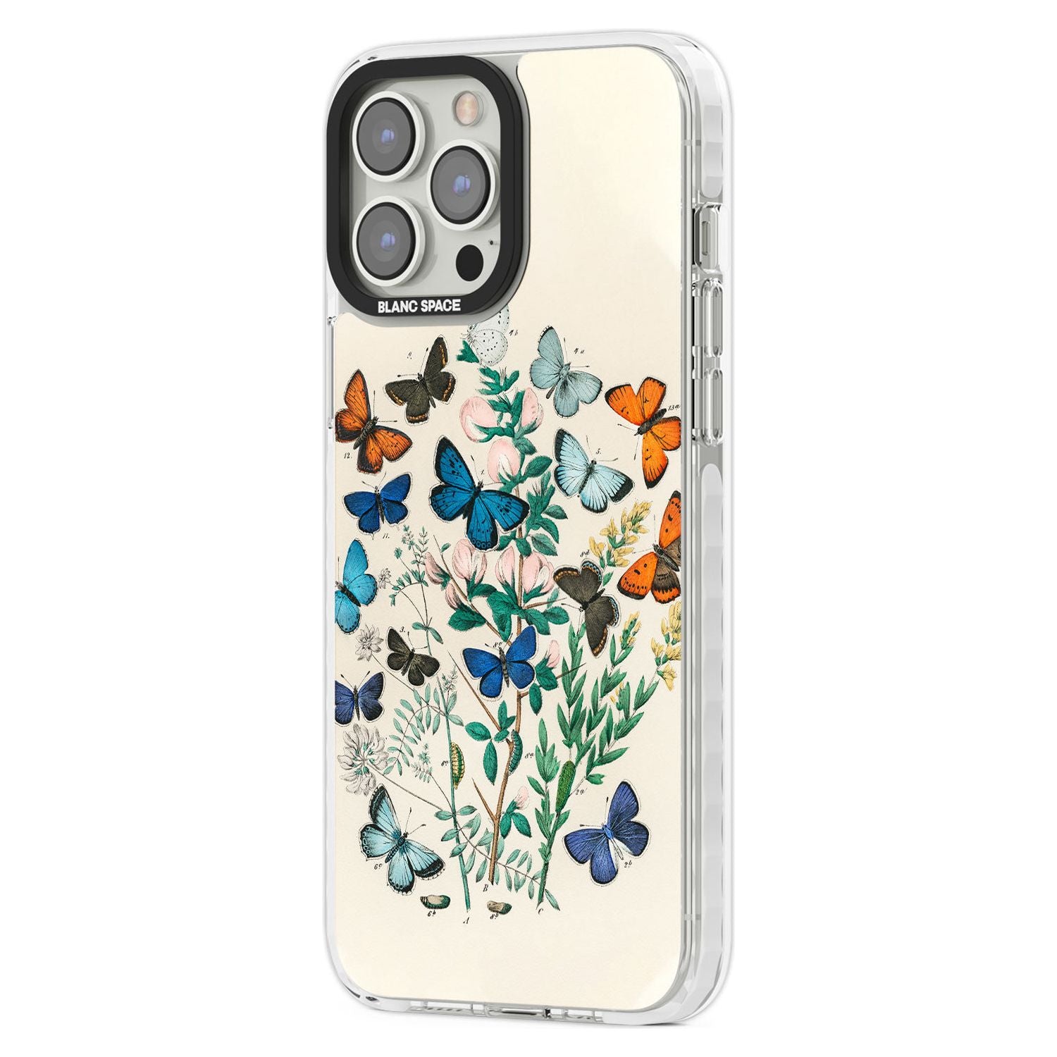 European Butterflies Phone Case iPhone 15 Pro Max / Black Impact Case,iPhone 15 Plus / Black Impact Case,iPhone 15 Pro / Black Impact Case,iPhone 15 / Black Impact Case,iPhone 15 Pro Max / Impact Case,iPhone 15 Plus / Impact Case,iPhone 15 Pro / Impact Case,iPhone 15 / Impact Case,iPhone 15 Pro Max / Magsafe Black Impact Case,iPhone 15 Plus / Magsafe Black Impact Case,iPhone 15 Pro / Magsafe Black Impact Case,iPhone 15 / Magsafe Black Impact Case,iPhone 14 Pro Max / Black Impact Case,iPhone 14 Plus / Black