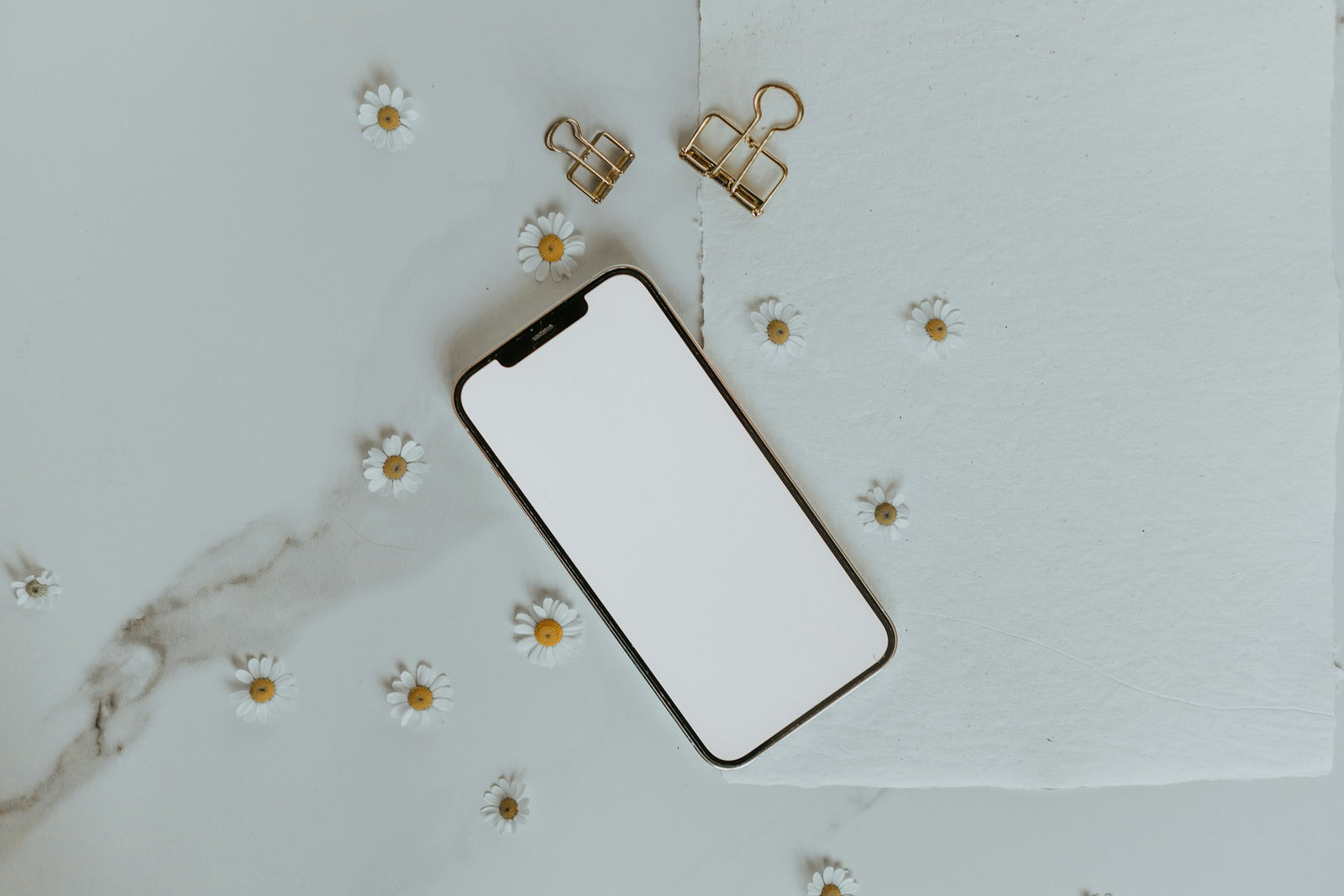 Butterfly Phone Case: Protect Your Phone in Style with Blanc Space