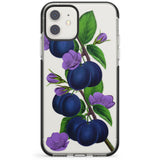 Vintage Painted Plums Impact Phone Case for iPhone 11, iphone 12