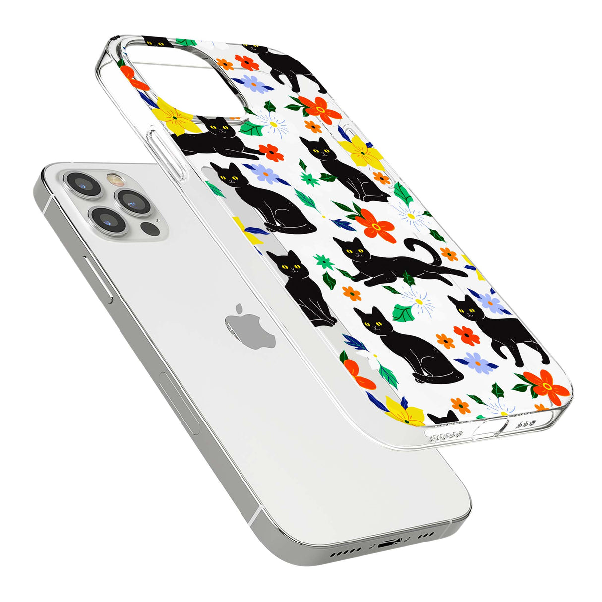CLEAR CASE
