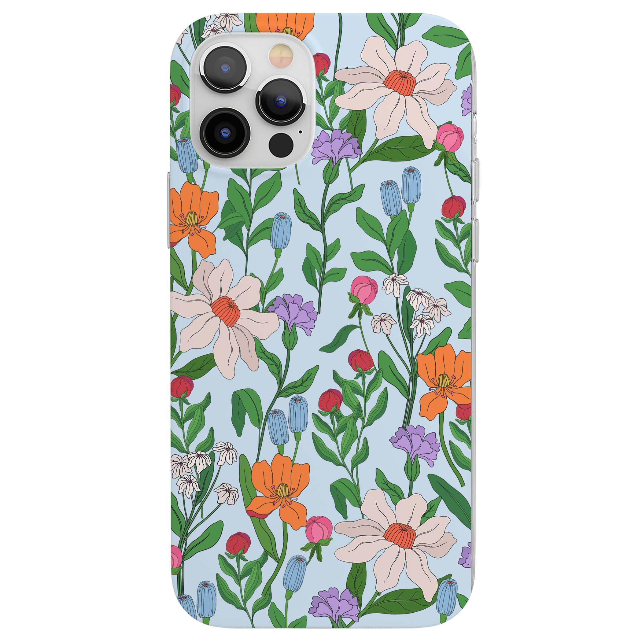 CLEAR CASE