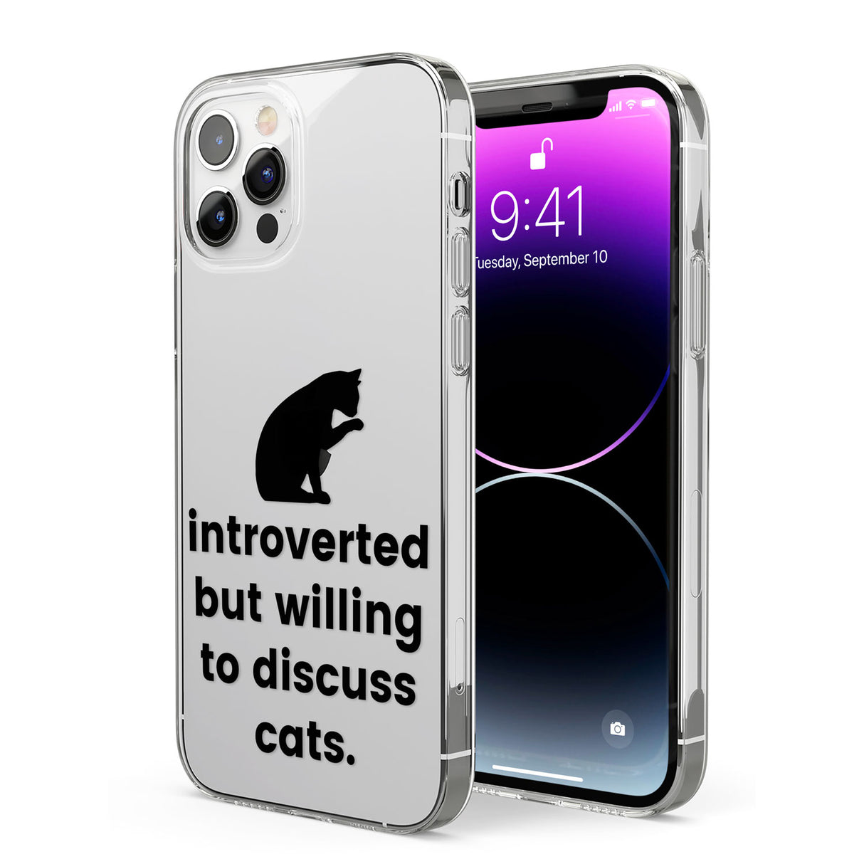 Introverted But Willing To Discuss Cats Phone Case for iPhone 12 Pro