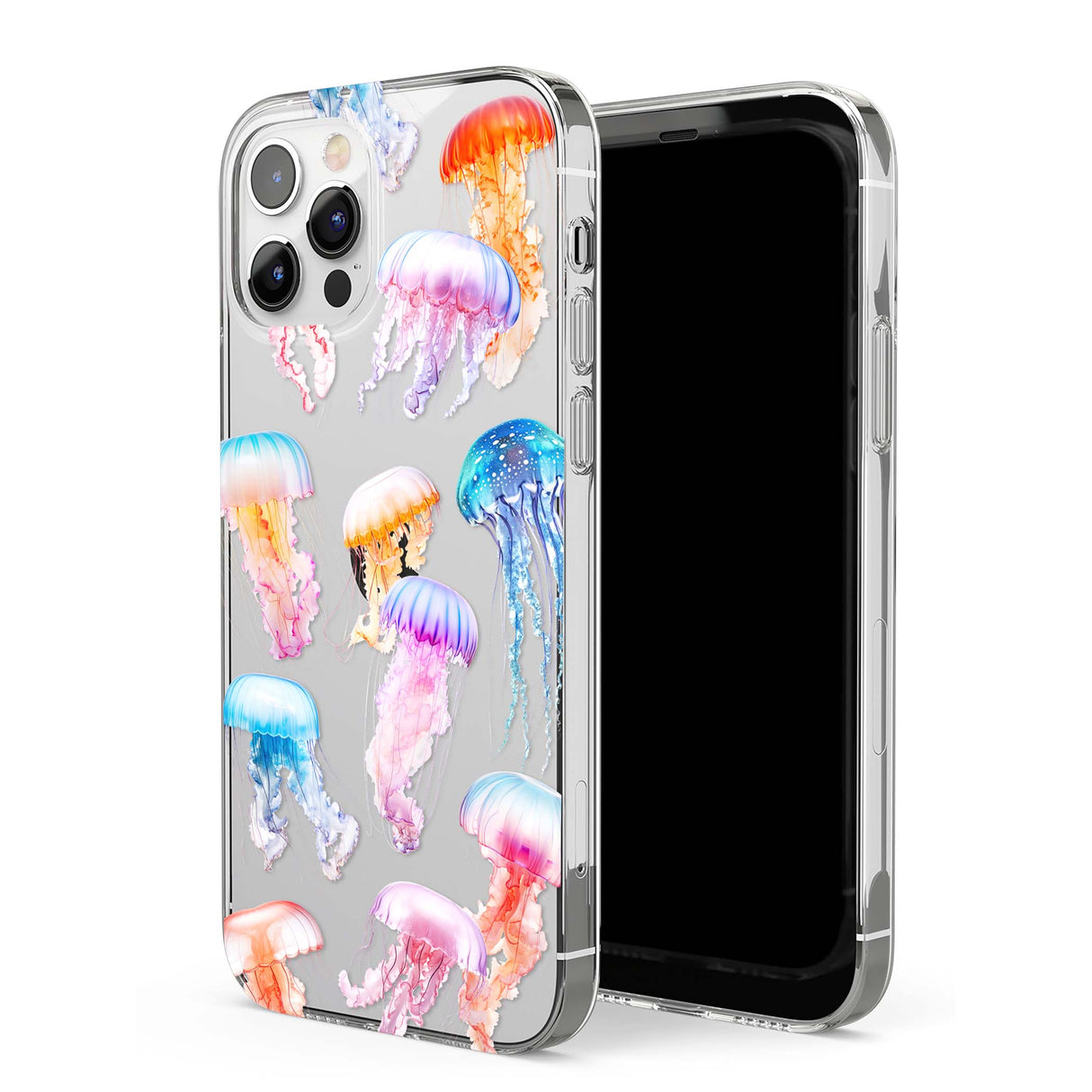 CLEAR CASE