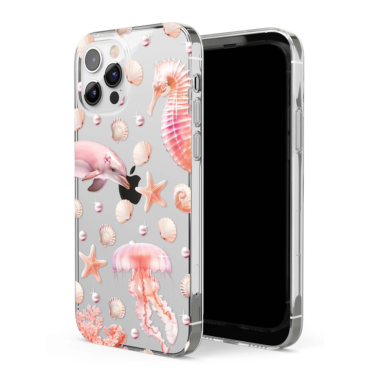 CLEAR CASE