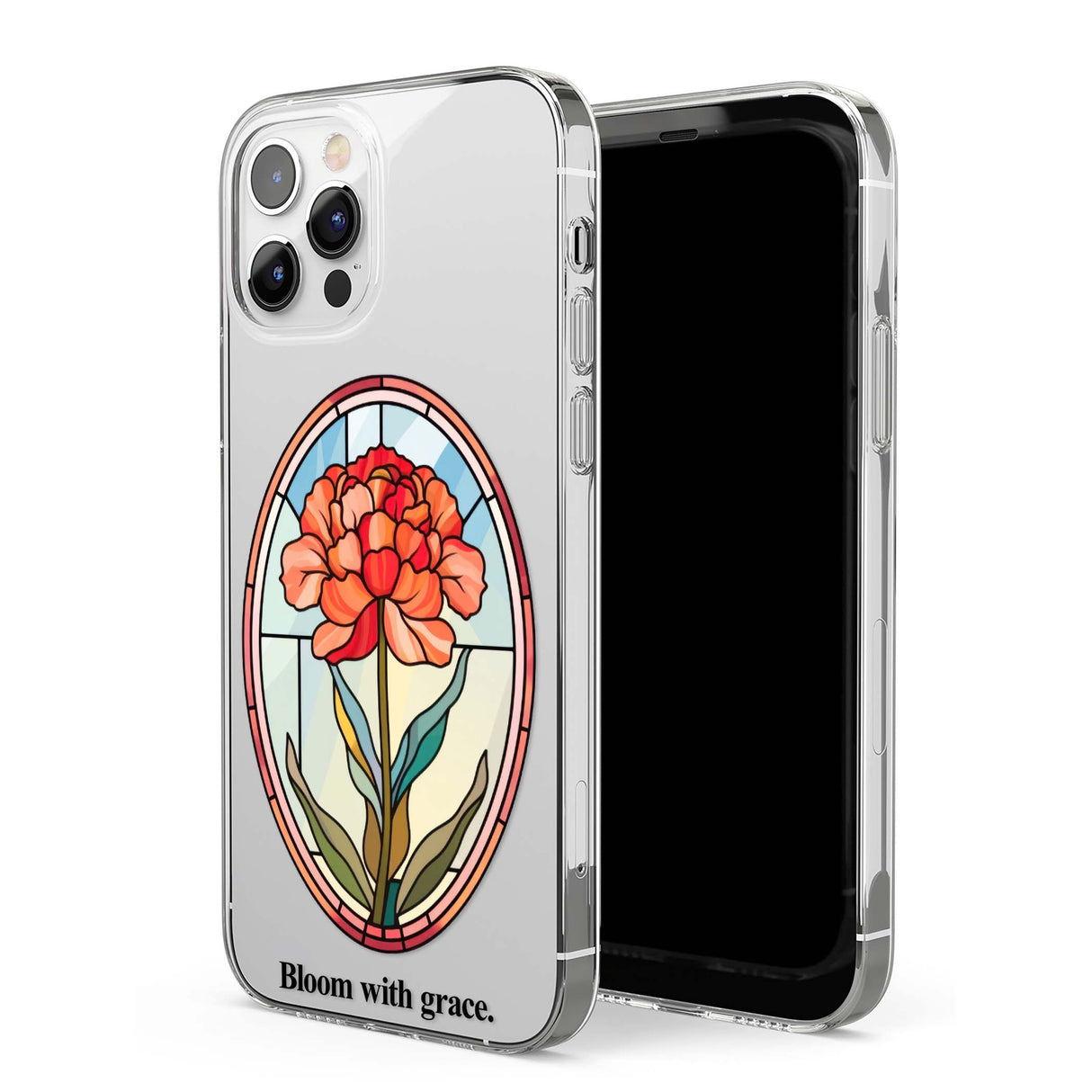 CLEAR CASE