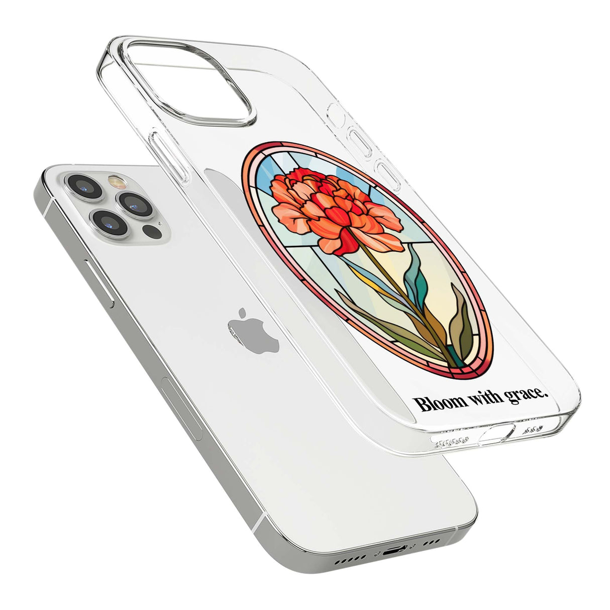 CLEAR CASE