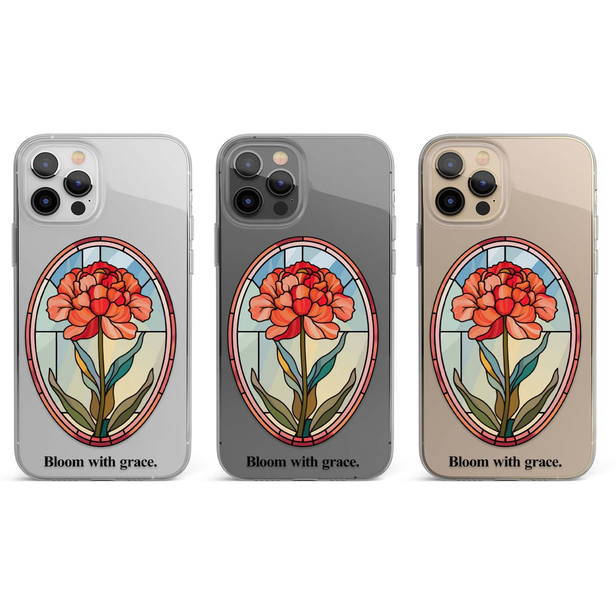 CLEAR CASE