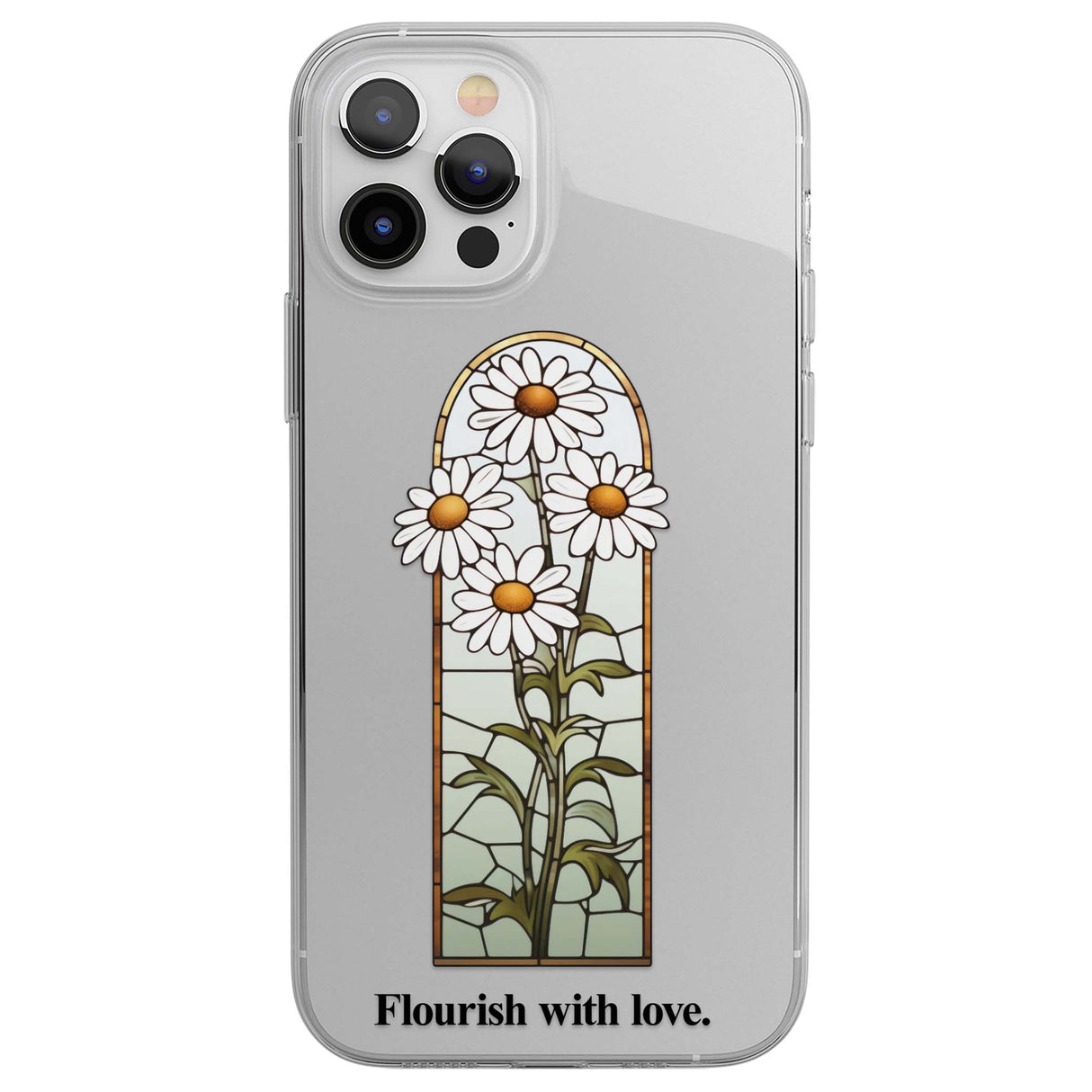 CLEAR CASE