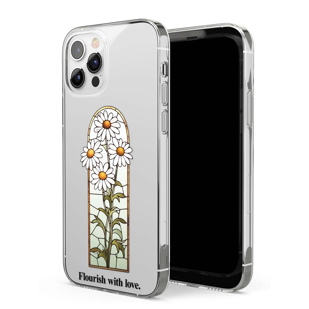 CLEAR CASE