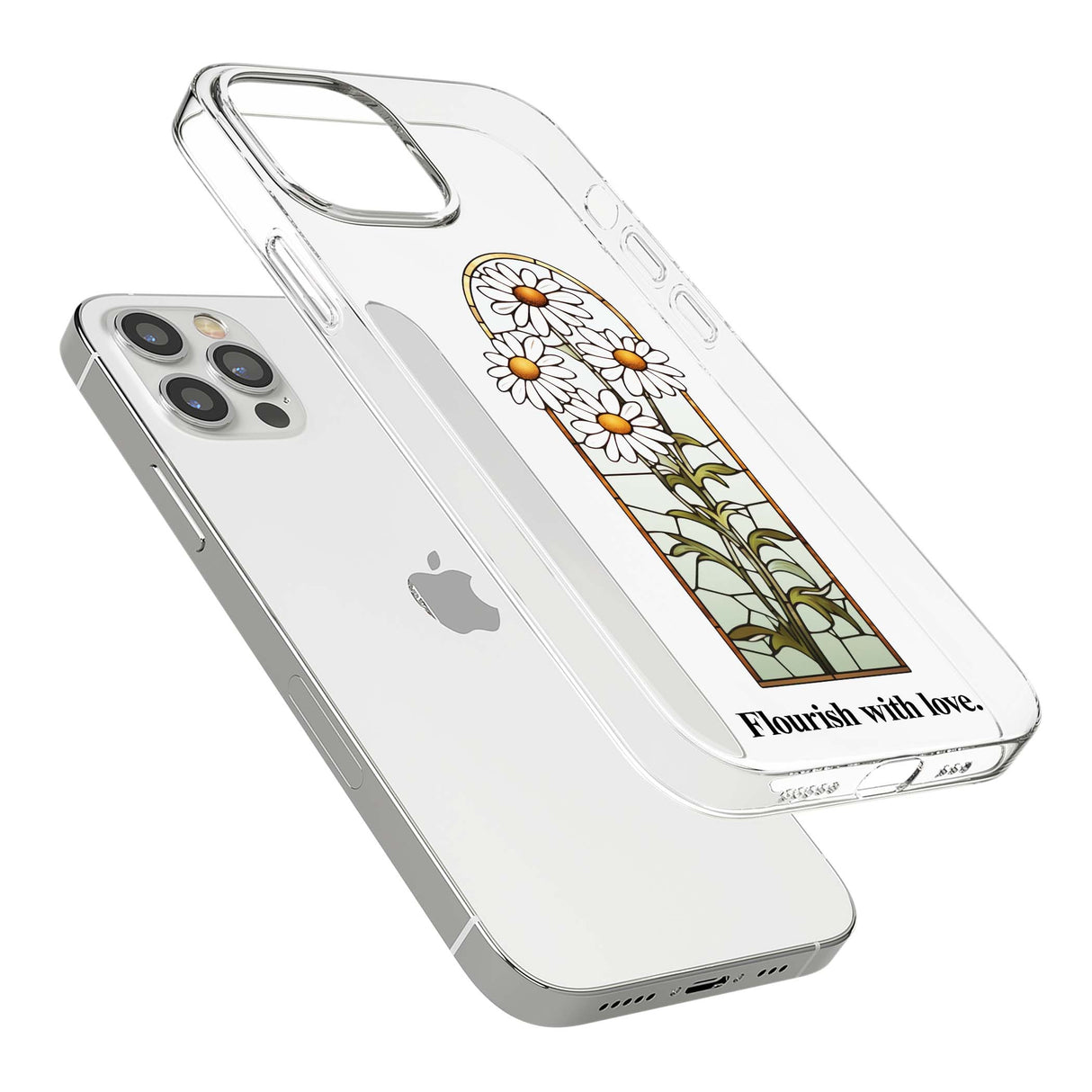 CLEAR CASE