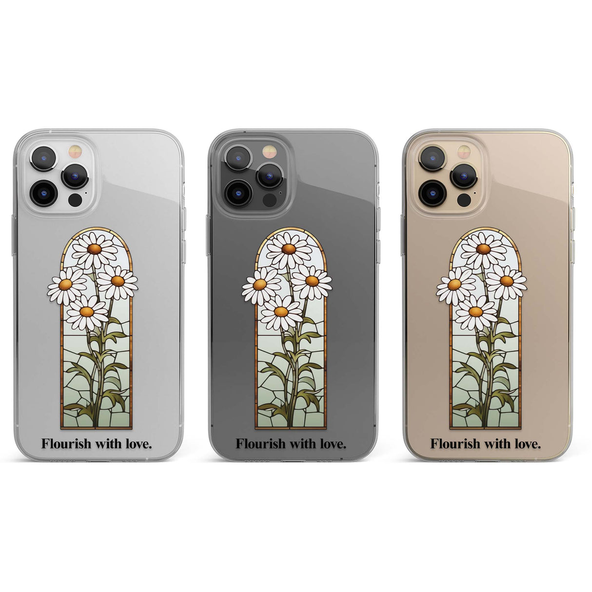 CLEAR CASE