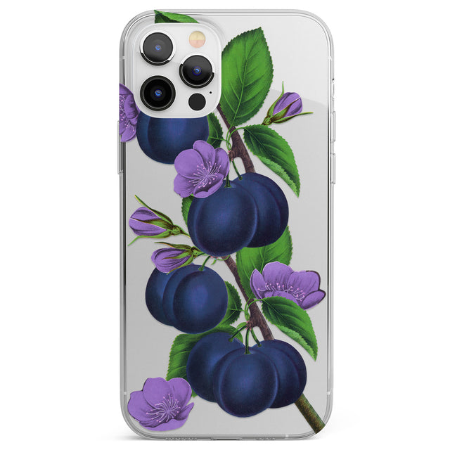 Vintage Painted Plums Phone Case for iPhone 12 Pro