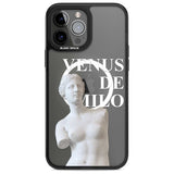 Venus De Milo Cutout