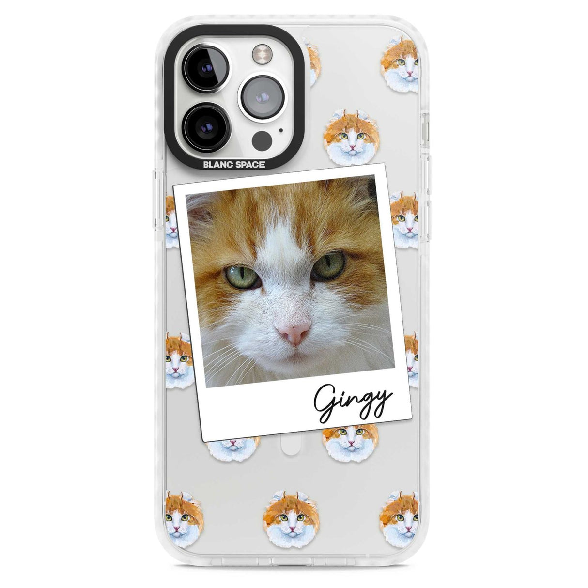 Personalised American Curl Photo