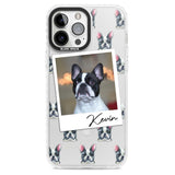 Personalised French Bulldog, Black & White - Dog Photo