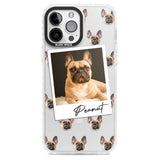 Personalised French Bulldog, Tan - Dog Photo