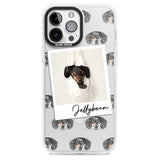 Personalised Dachshund, Black- Dog Photo