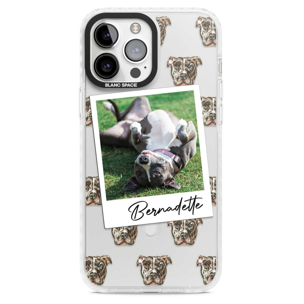 Personalised Staffordshire Bull Terrier - Dog Photo