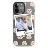 Personalised Cockapoo, Cream - Dog Photo