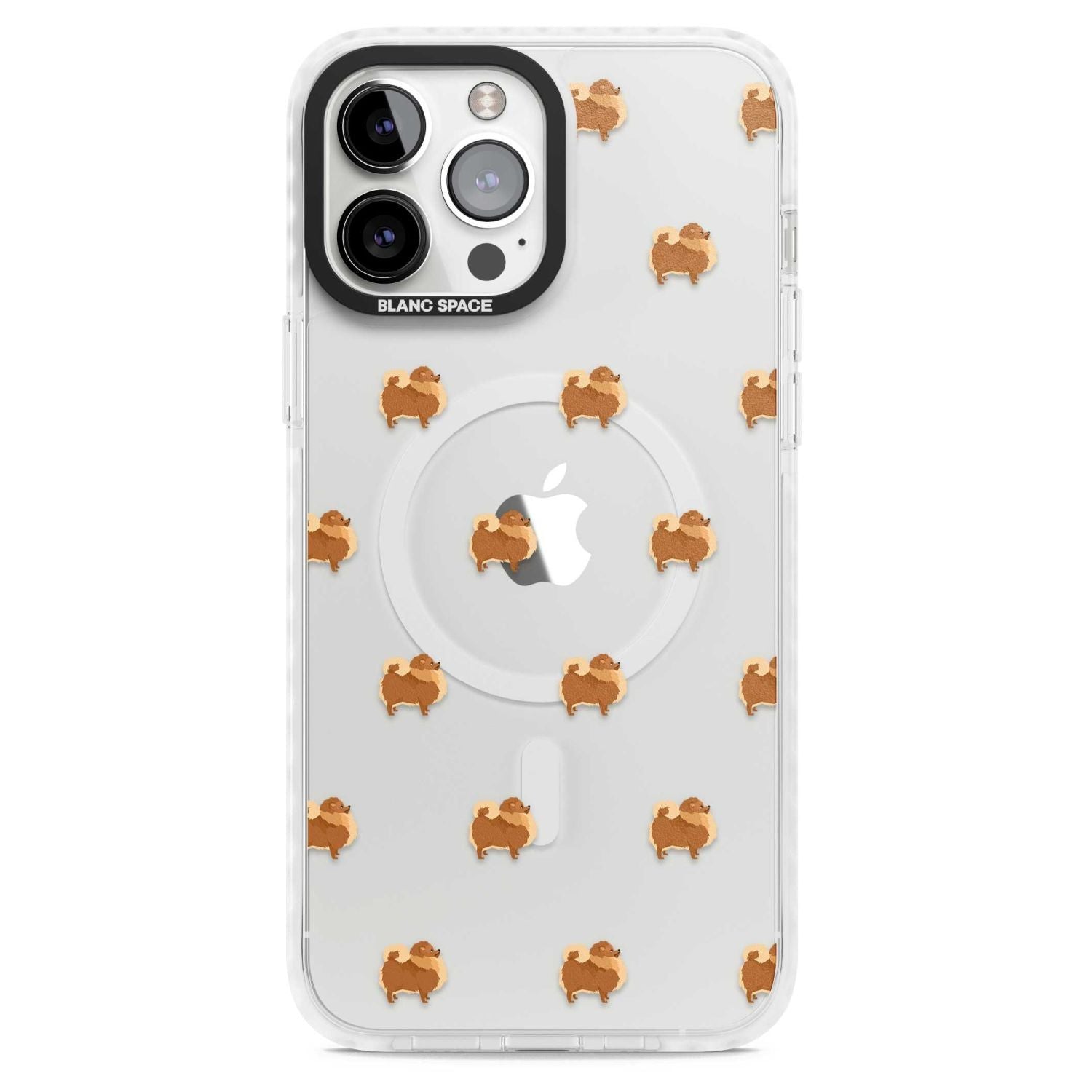 Pomeranian Delight