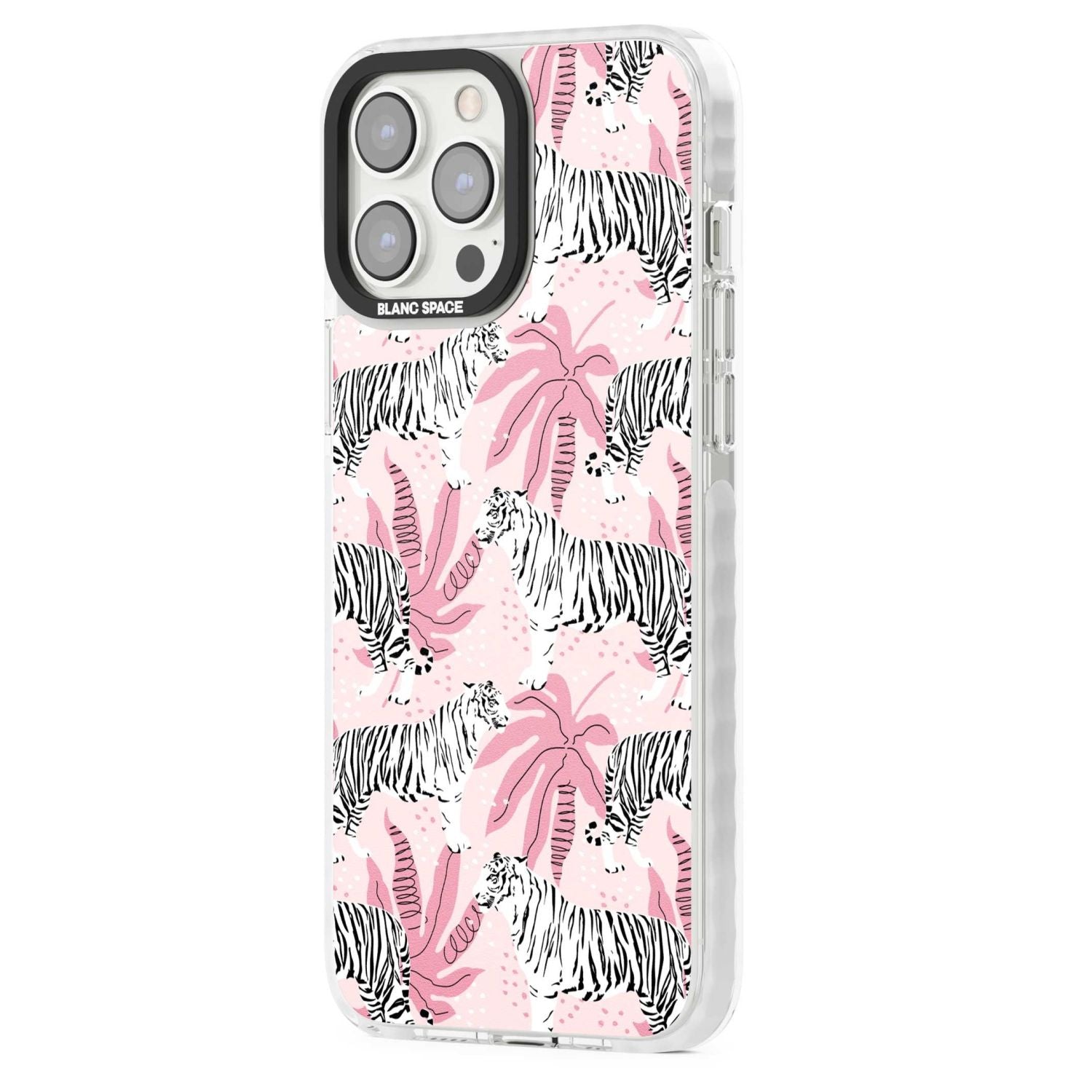 Pink Tiger Palm