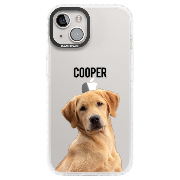 Personalised Pet Cutout & Name
