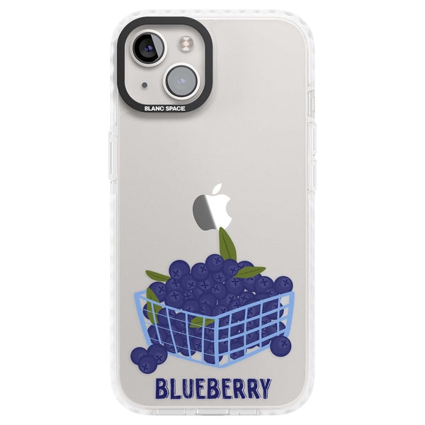 Blueberry Basket