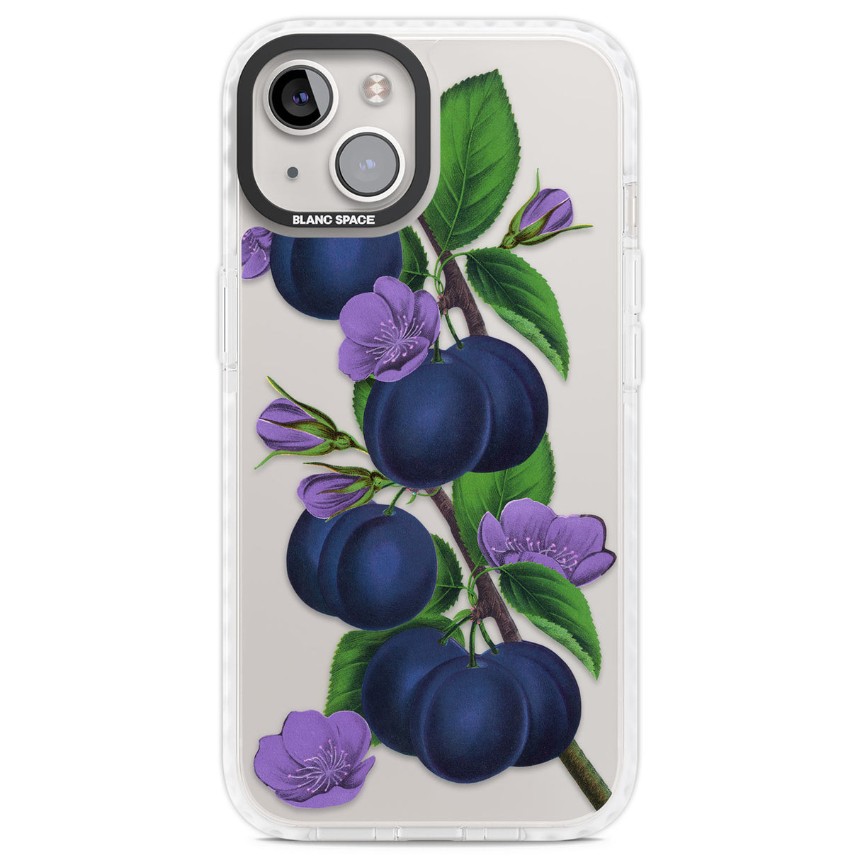 Vintage Painted Plums Clear Impact Phone Case for iPhone 13, iPhone 14, iPhone 15