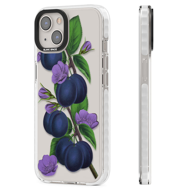 Vintage Painted Plums Clear Impact Phone Case for iPhone 13, iPhone 14, iPhone 15