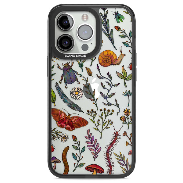 Bugs & Wildflowers