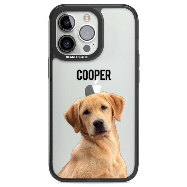 Personalised Pet Cutout & Name