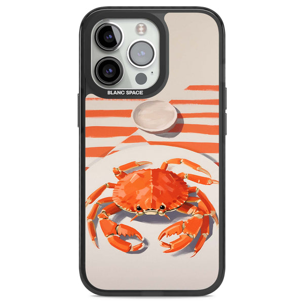 Beach Crab
